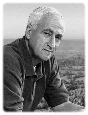 mba Marucchi